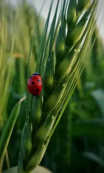 Vêtements Et Objets Personnalisés Responsables | G2M